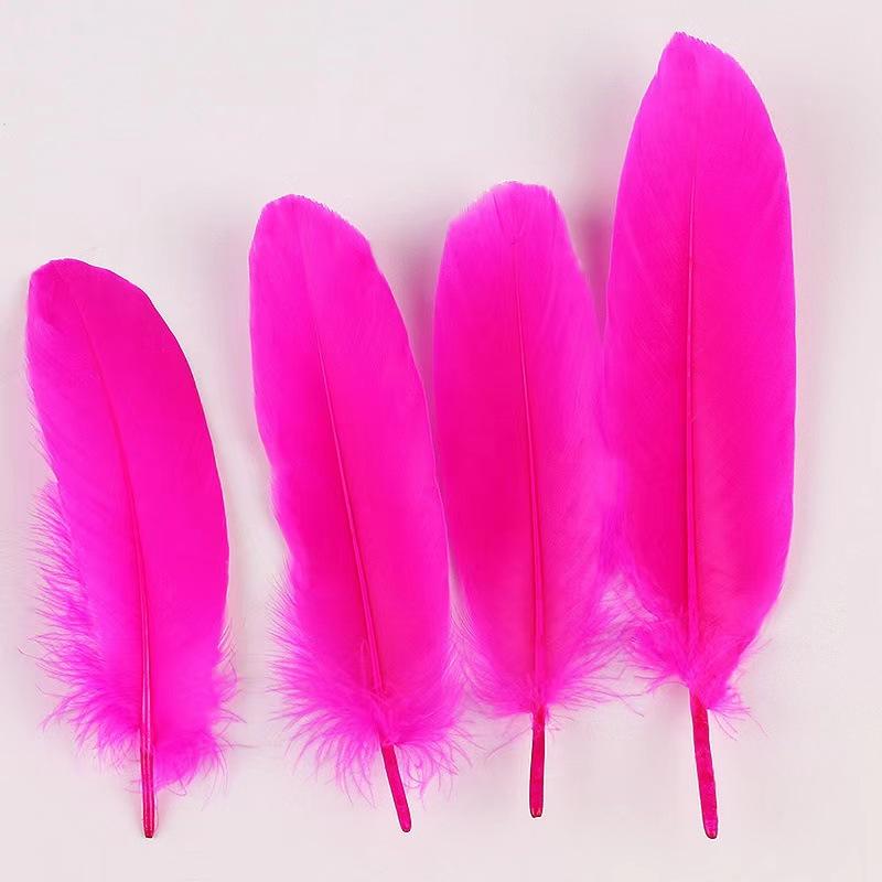 50Pcs Shellfish Feather Goose Feather Diy Handmade Jewelry Accessories Handicrafts Cat Toys Decorative Feathers