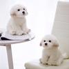 Dog Plush Maltese Toy Animal Stuffed Doll Home Bedroom Decoration Gift Kids