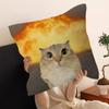 cat funny Cushion Cover Car Throw Pillow Case For Sofa Car Christmas Gift 40x40cm 45x45cm