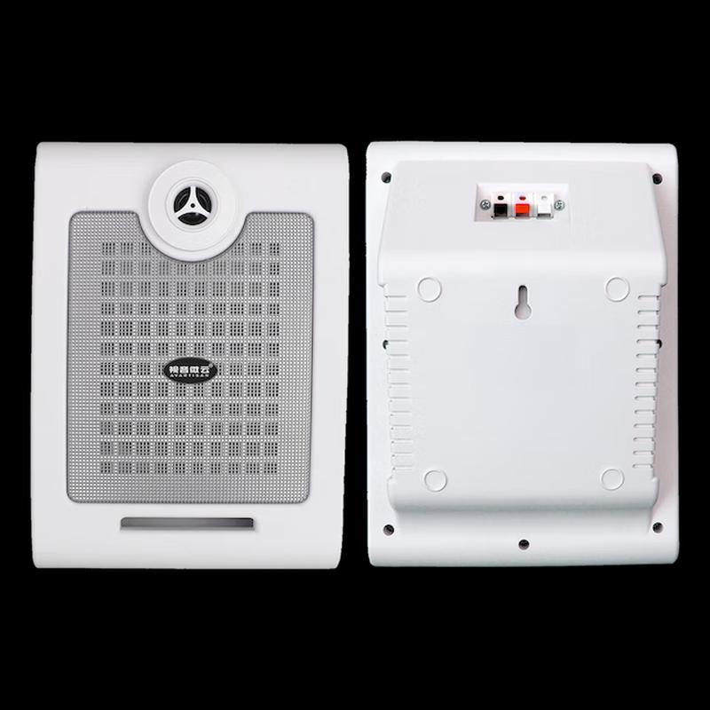 Indoor Wall-Mounted Conference Speaker