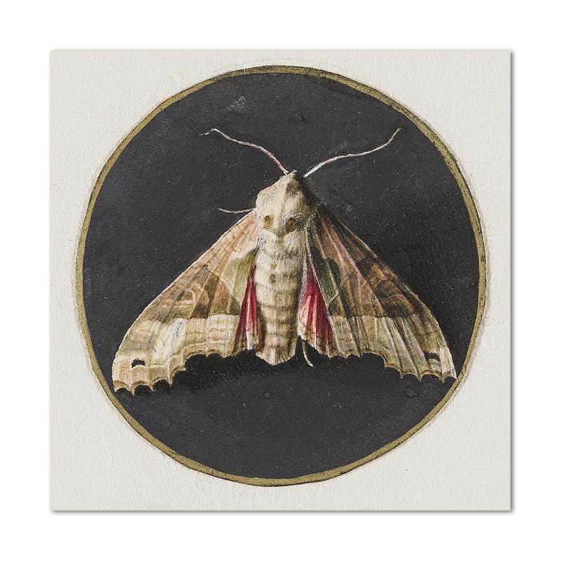 Moody Victorian Paintings Prints Vintage Dark Academia Aesthetic Decor Floral Poster Skeleton Canvas Painting Gallery Wall Decor