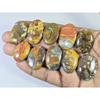 282Cts. Natural Forest Agate Oval Cabochon Loose Gemstone 10 Pcs Lot C-1960