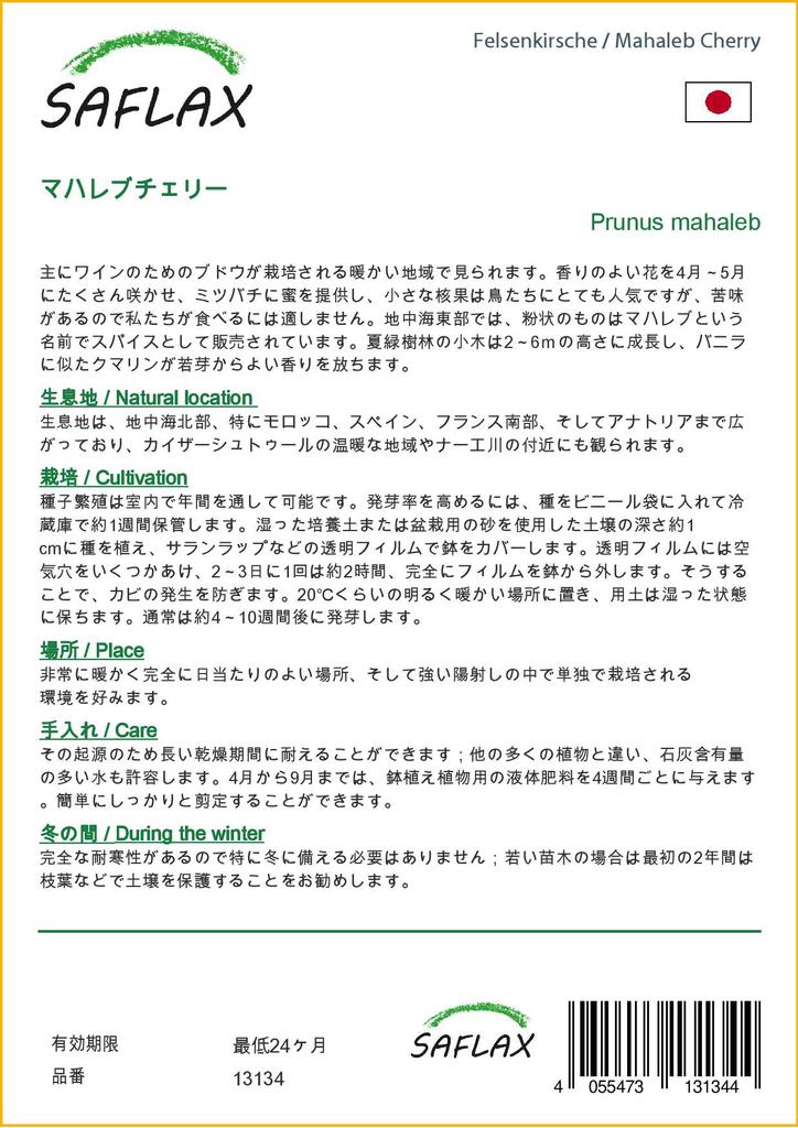 SAFLAX Mahaleb Cherry - 30 Seeds - Prunus Mahaleb