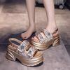 Fashion Silver Sequin Sandals Women's 2025 Summer New Open Toe Heightened Platform Slippers