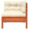 Garden Sofa with Cushions and Footstool 2 Seater