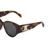 Celine Full Frame Design Acetate Butterfly Sunglasses Women sunglasses Tortoise CL40328U53A