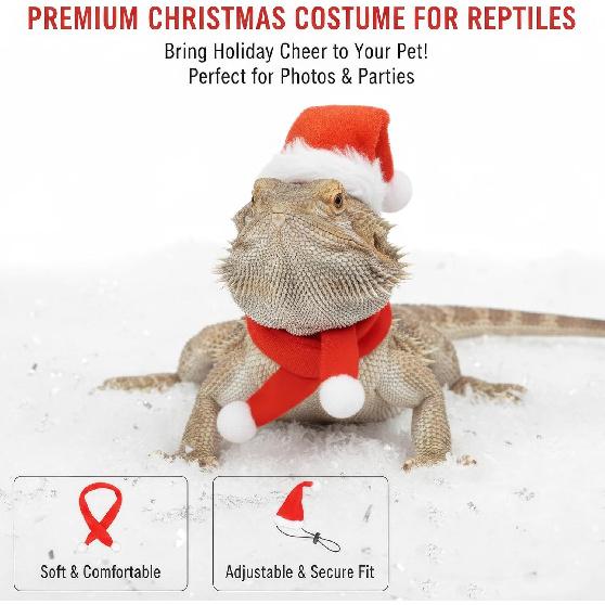 Reptile Christmas Costume: Bearded Dragon Santa Hat & Scarf Set with Adjustable Chin Strap for Lizards, Ferrets