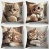 1/4pcs Cute Kitten Pattern Pillowcases Sofa Cushion Cover Home Bedroom Room Decoration