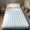 Light Blue and White Vertical Stripes Flannel Blanket Warm Soft Halloween Christmas Couch Warm Cozy Decorative for All Season