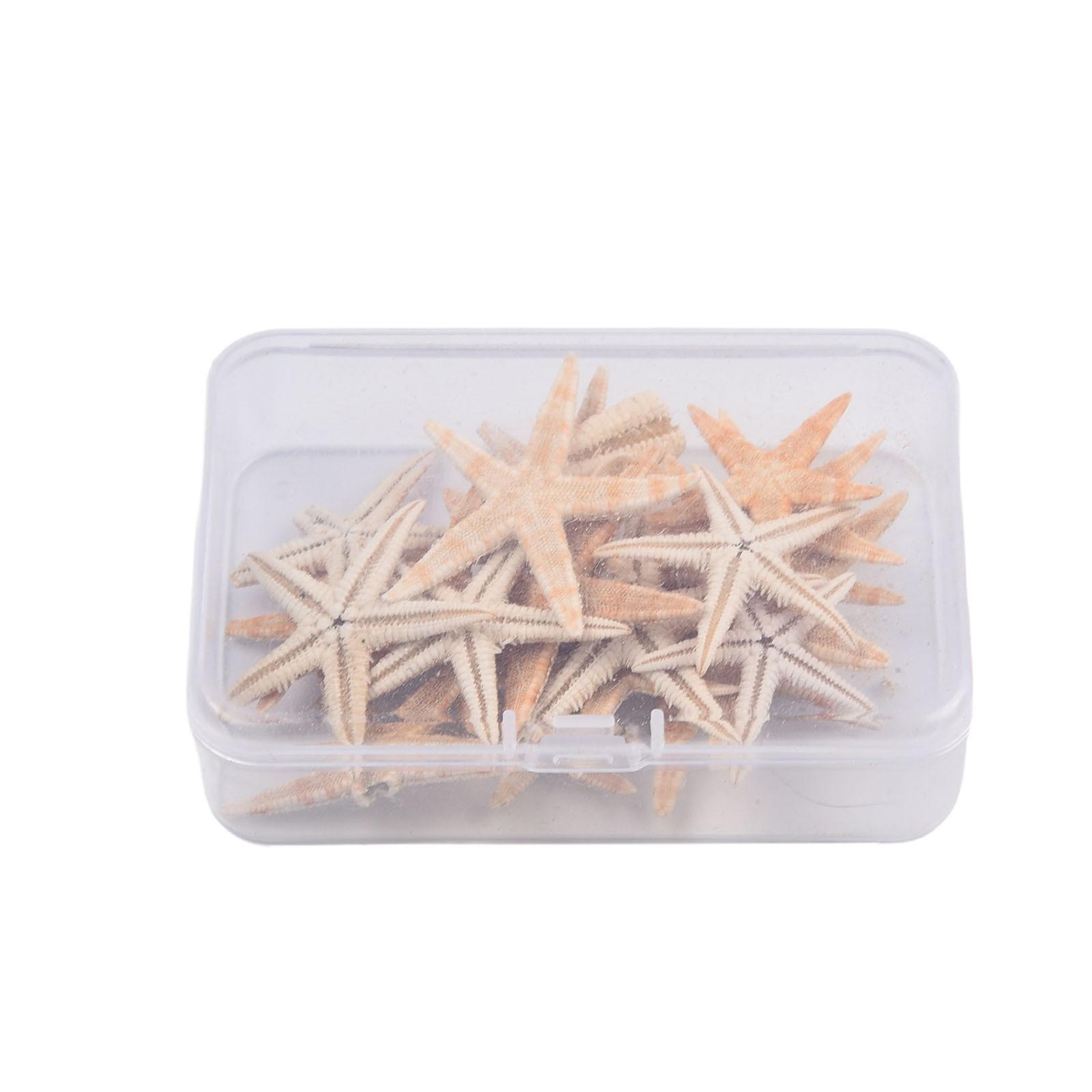 

Натуральная морская звезда поделка морская звезда украшение для аквариума натуральный материал 20pcs（3-5cm）