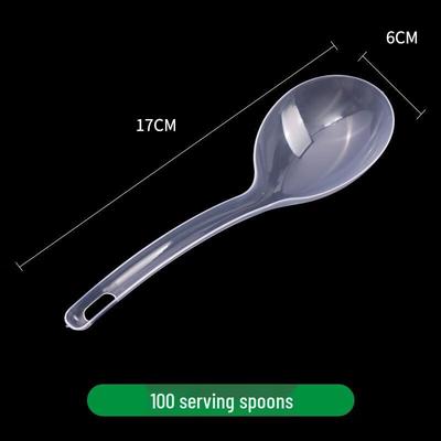 Disposable Large Serving Spoons (100-Pack)