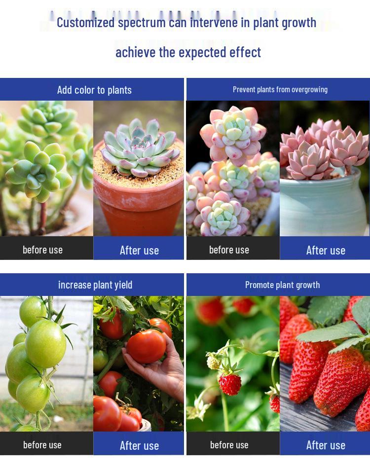 Full Spectrum LED Grow Light for Seedlings, Flowers, Vegetables, and Succulents