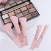 10 Stück/Set Bonbonfarben Mini-Größe Make-up Pinselset Durchscheinend Jelly Pink Kosmetikpinsel Make-up Werkzeug
