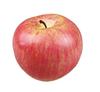 Apple Food Fake for Set of 10 Models, Fruit, Display, (10)