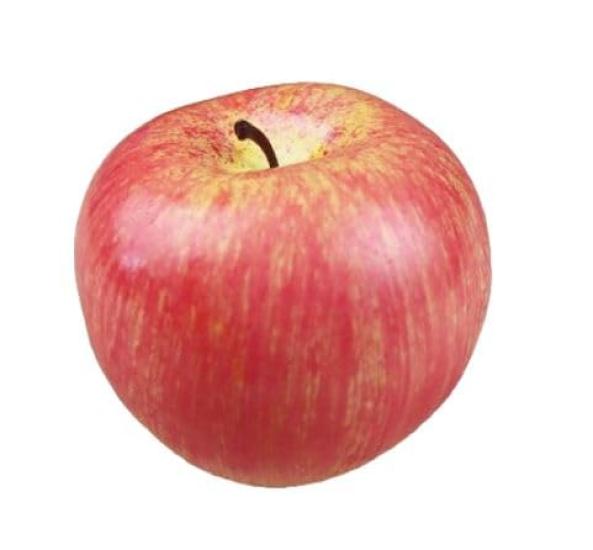 Apple Food Fake for Set of 10 Models, Fruit, Display, (10)