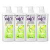 Scalp Anti-Dandruff Oil Control Shampoo
