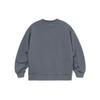 Li Ning Sports Life Collection Sweatshirt Unisex Gray Couple's AWDRG11-6