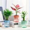 5pcs Lazy Hydroponic Flower Pot Automatic Water-Absorbing Flowerpot Transparent Double Layer Plastic Self Watering Planter Office