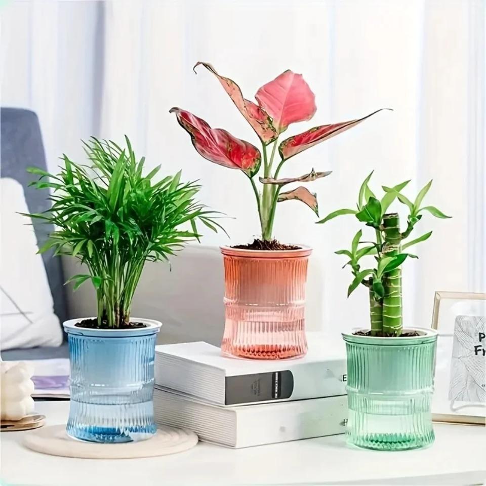 5pcs Lazy Hydroponic Flower Pot Automatic Water-Absorbing Flowerpot Transparent Double Layer Plastic Self Watering Planter Office
