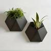 Mounting Holes Hexagonal Wall Flower Pot Easy to Install Hanging Flower Pots  Indoor Plants