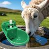 Goat Water Trough Horse Waterer Fountain Drinker Container 500ml Tank for Farm Poultry Dogs Chicken Coop Cattle Pet Sheep