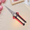 Stainless Steel Pruning Shears Sharp Branch Scissors with Non Slip Handle for Garden Fruit Tree Trimming Tools