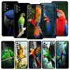 Parrot Bird Phone Case for Samsung A51 A71 A72 A21S A12 A11 A15 A25 A31 A41 A23 A33 A53 A73 A03S A05S A13 5G A35 A55 Cover