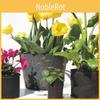 Versatile Fabric Root Pots Smart Plant Grow Pot Bags With Large Capacity For Thriving Plants
