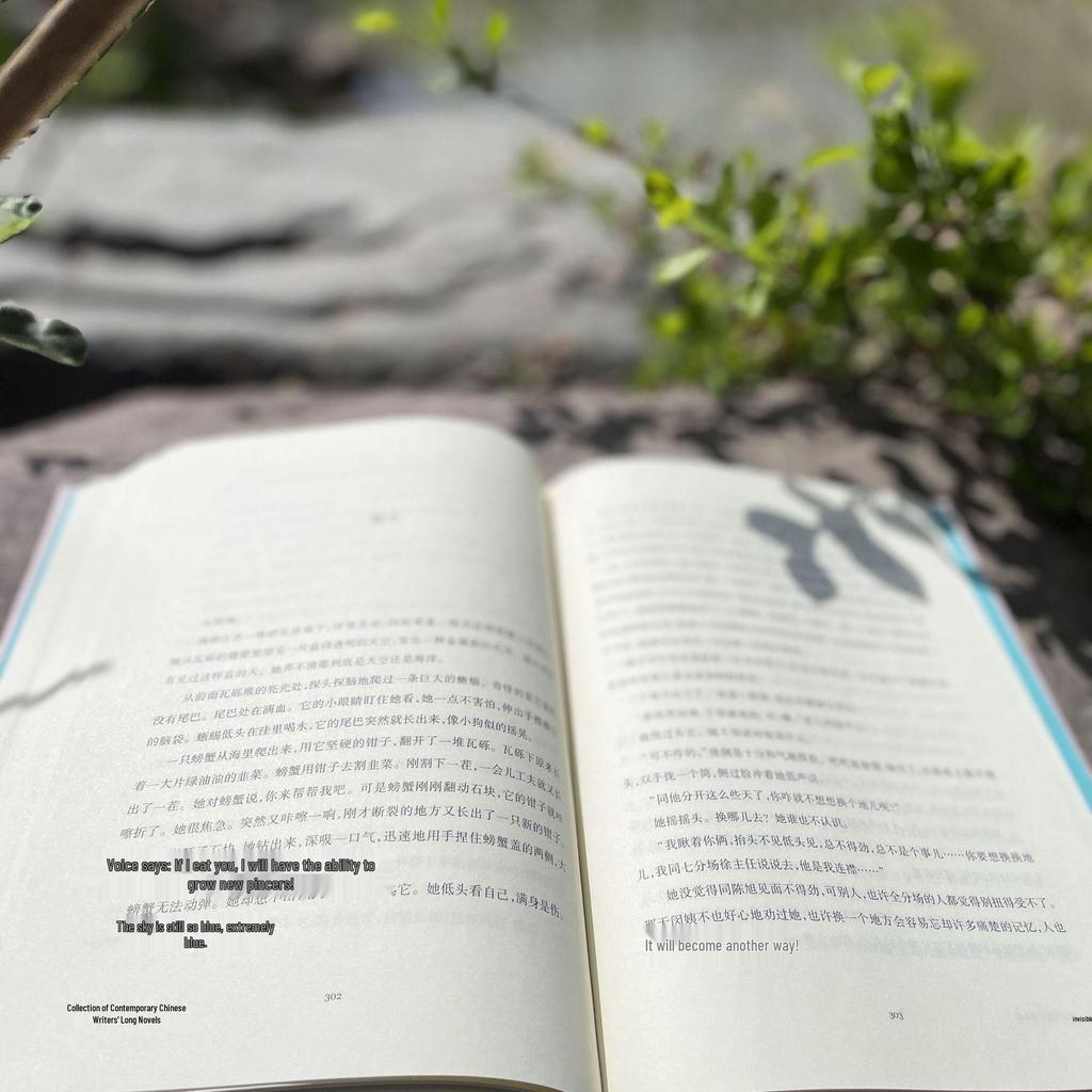 "Invisible Companion" by Zhang Kangkang: Contemporary Chinese Novel Collection
