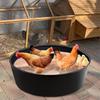 25 Inch Chicken Dust Bath Tub Plastic Chicken Sand Bath Tub Adjustable Bottomless Chick Coop Cleaning Container Accessories