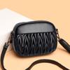 Women's Bag 2024 Fall New Trend Messenger Bag Simple Shoulder Bag Korean Version Soft Leather Mother's Mobile Phone Bag Shoulder Bag