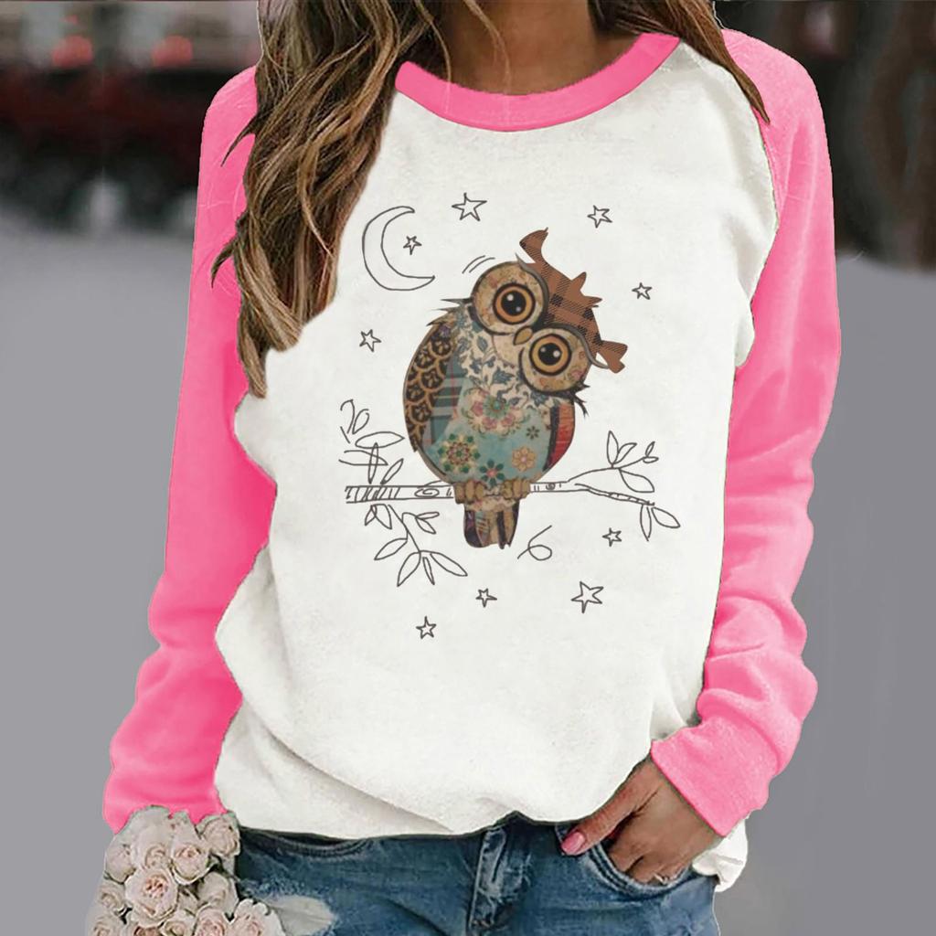 Women's Casual  Solid Color Long Sleeve Top Pullover Sweatshir