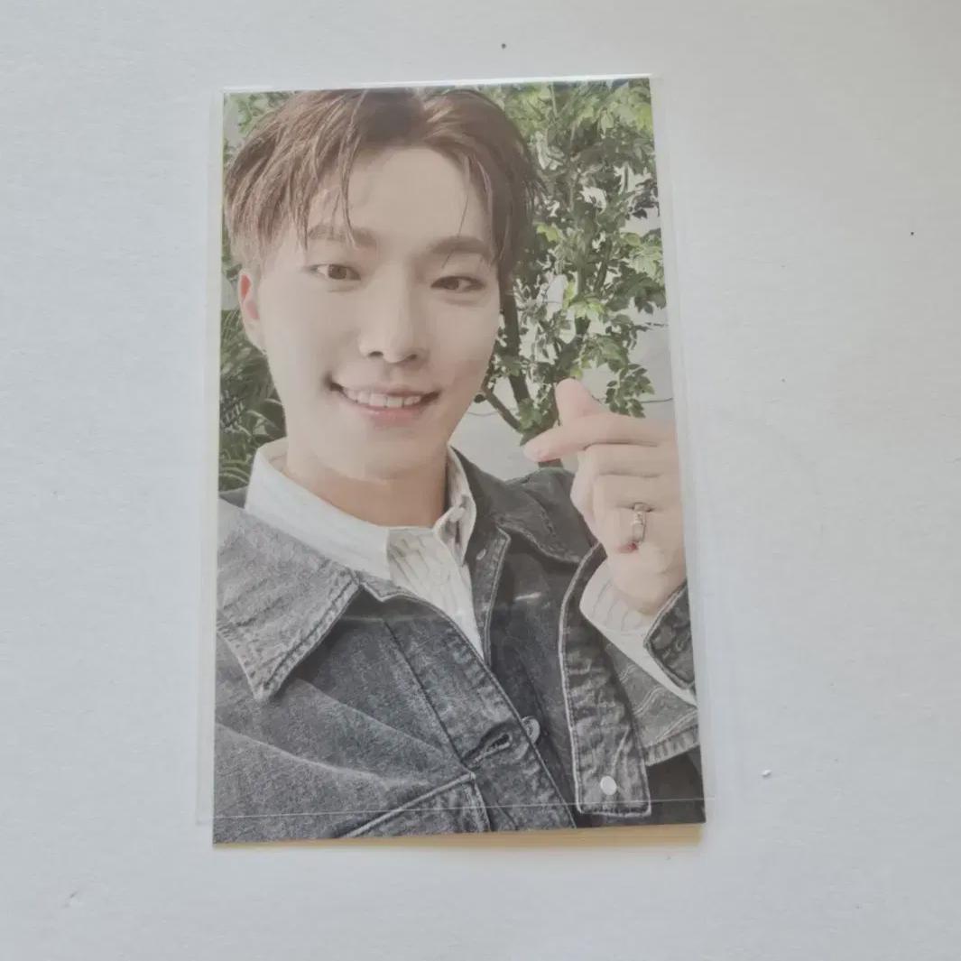 

Seventeen Dino Expiry Universal Предварительный заказ с выгодой