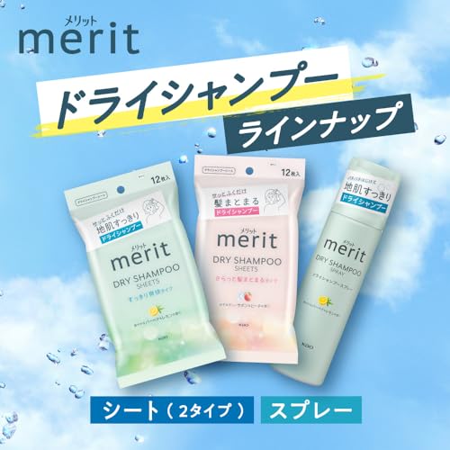 Merit Merit Day Plus Dry Shampoo Sheet White Green 12 Pieces