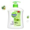 Dettol Plant Care Liquid Hand Soap Refill