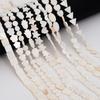 22-115Pcs Natural Freshwater Shellfish Geometry Beads For DIY Necklace Bracelet Earrings Jewelry Making