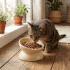 Anti Overturning Ceramic Elevated Cat Bowl Flat Bottomed Cat Feeding Bowl  Cervical Protection