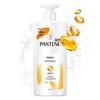 Pantene Lotion Repair Shampoo Set