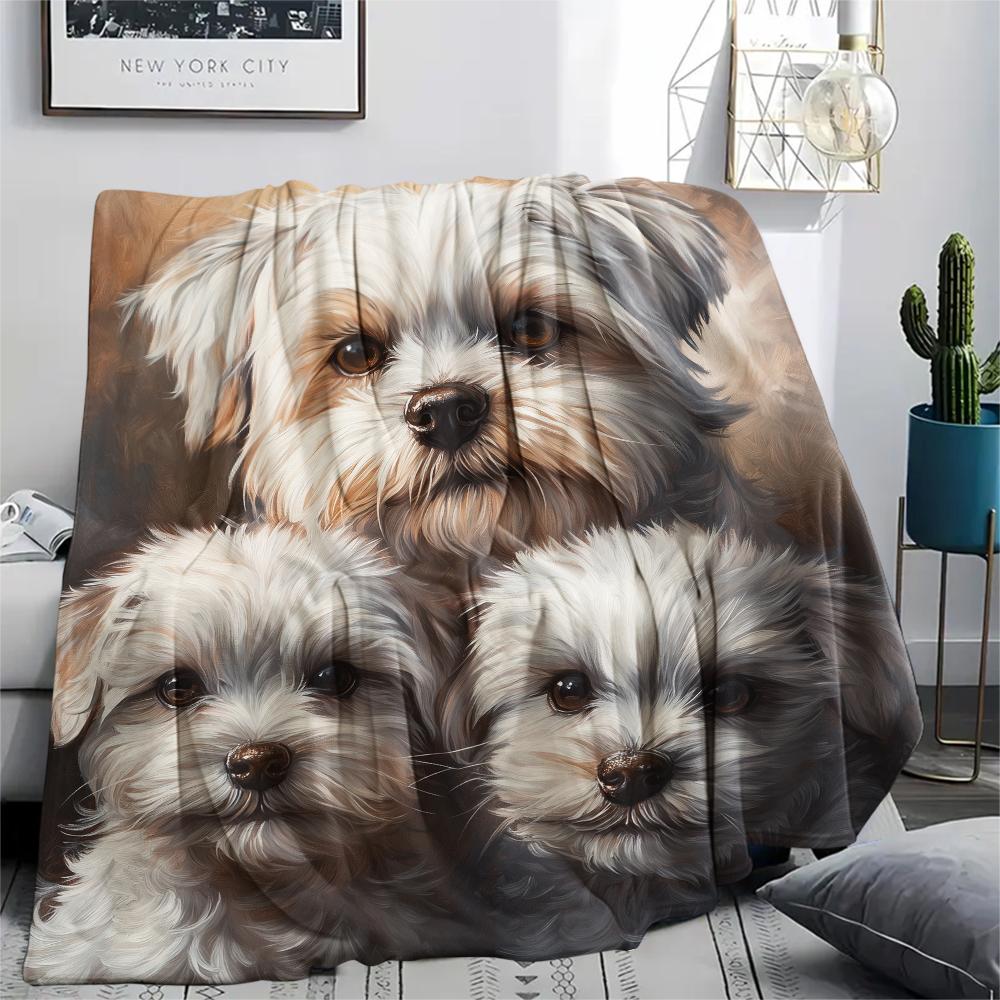 Black Maltese dog,pattern Flannel Blanket, High quality Comfortable for All Seasons, Home Decor, Warmth and Comfort, Perfect for Gifts.