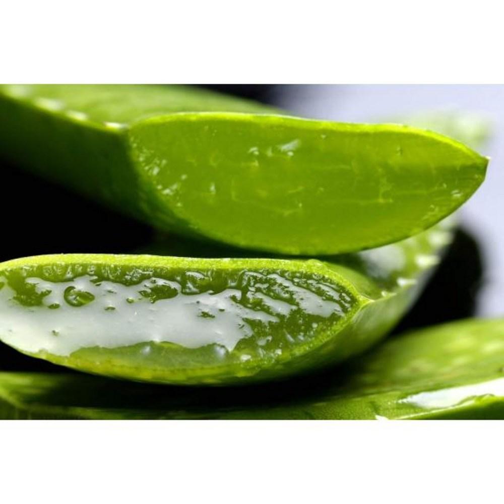 Koupit TABAIBA Aloe Vera Gel 150 ml, 1 kus za dobrou cenu  doprava zdarma,  skuten recenze s fotkami  Joom