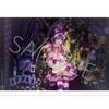 Super rare! sold out! limited! Enako Photo Book WONDERLAND