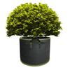 Pflanzsack Stoff Pflanzbeutel Schwarz Vlies Topf Anzuchttasche Baum Pflanze Anzuchttöpfe Gartenpflanzenbehälter