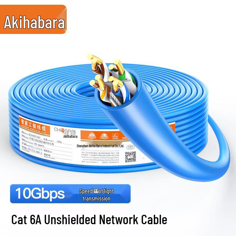 Choseal Cat6A 10 Gigabit Ethernet Cable