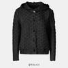 Pleats Me Origami Triangular Embroidered Hooded Jacket Ppjks026022