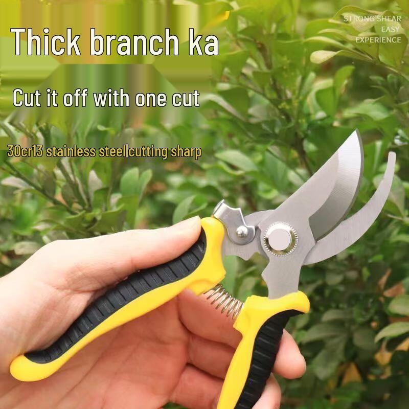 ZISIZ Multi-purpose Gardening and Floral Shears