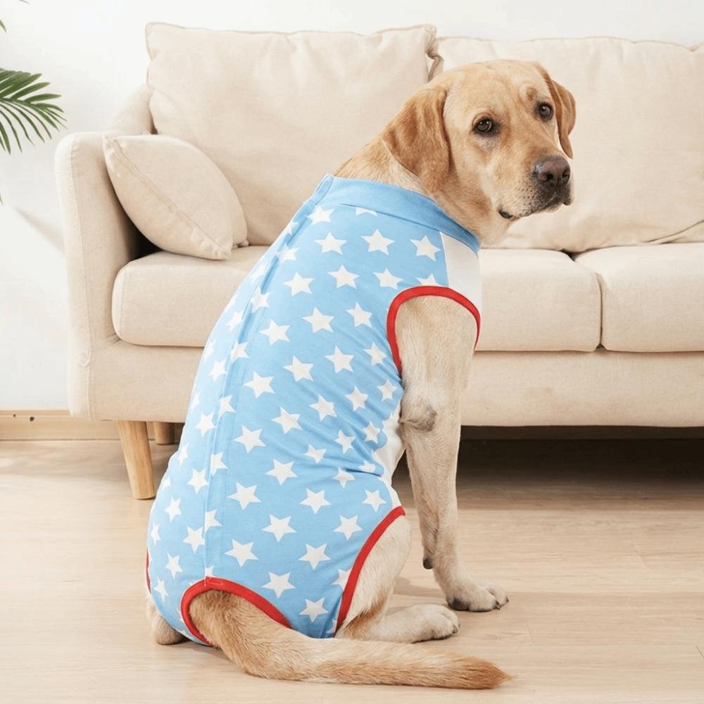 Easy Wear Pet Recovery Suit Soft Fabric Pet Neutering Suit Cat Recovery Shirt  Weaning Use S