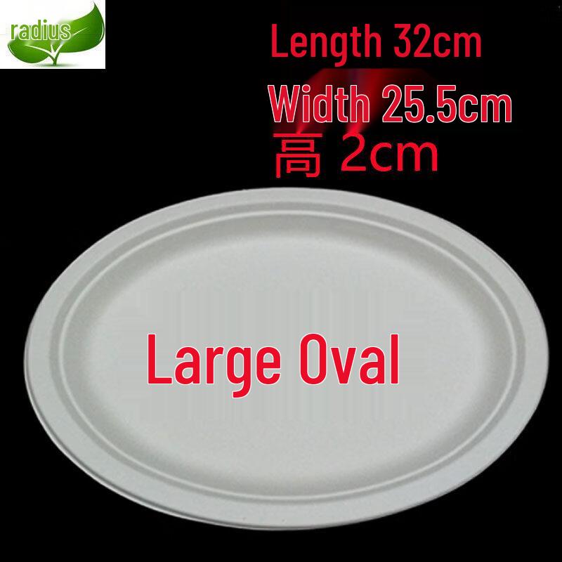 ZISIZ Disposable Rectangular Paper Plates