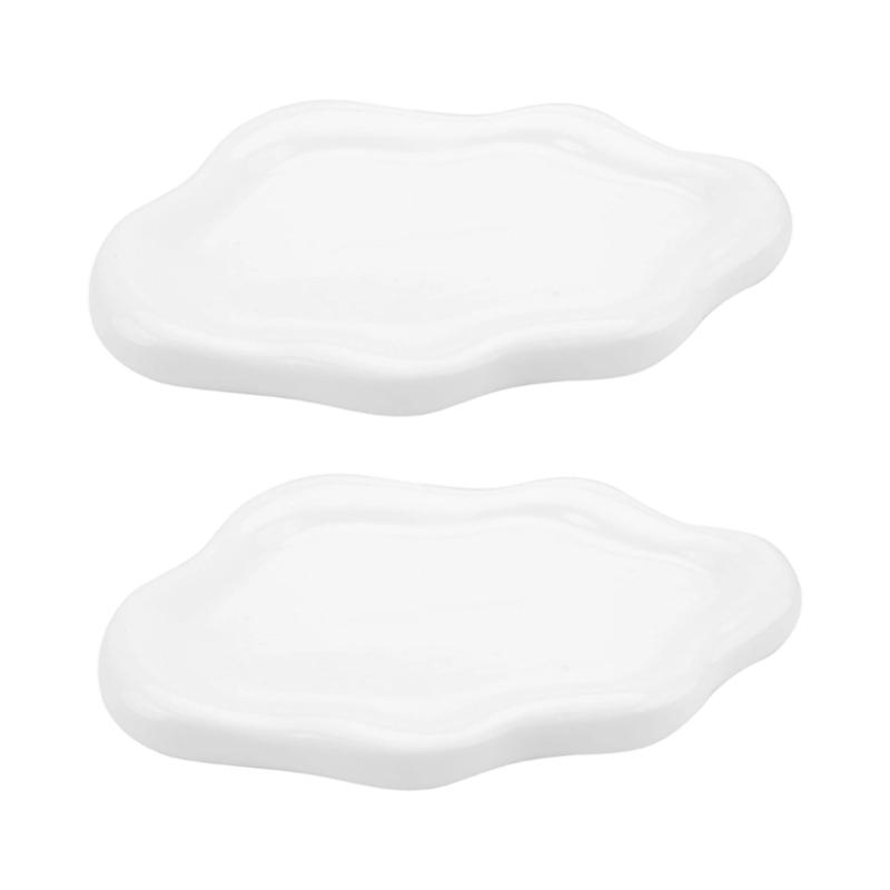 Set of 2 Elegant Porcelain Decorative Plates Suitable for Accessories Presentation and Room Styling Artistic Design