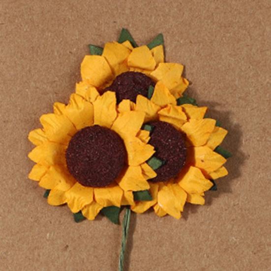 2 Adet Kuru Çiçek Tebrik Kartı El Yapımı Retro Hediye Kartı Düğün Doğum Günü Bebek Partisi Mezuniyet İçin Kendin Yap Davetiye Dilek Kartı