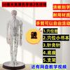 Moufu Acupuncture Meridian Human Body Model